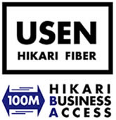 Business grade fiber optic internet connection